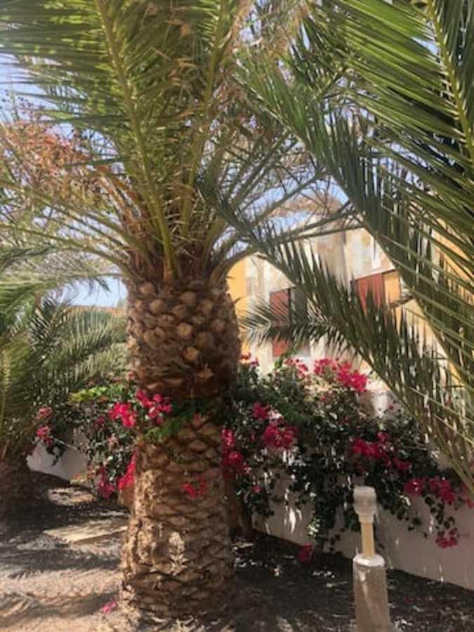 Appartement Amaya Relax Costa De Antigua