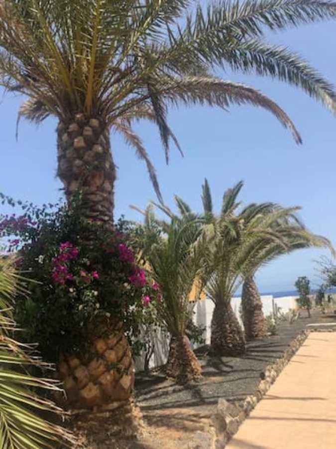 Amaya Relax Appartement Costa De Antigua